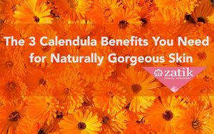 Calendula