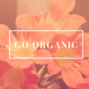 Why You Should Use Organic Products