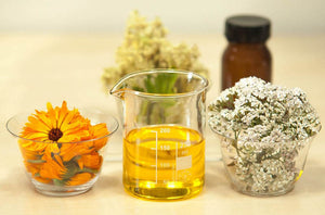 Organic Beauty Products