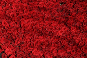 Rose Oil