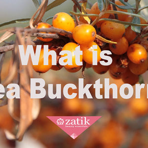 Sea-Buckthorn
