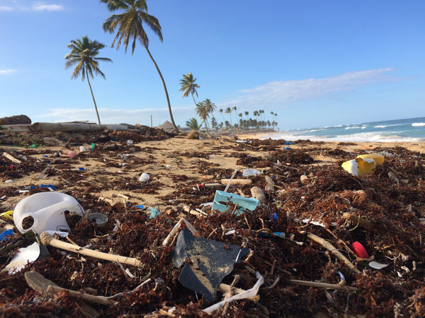 Are We Undergoing Environmental Awakening?