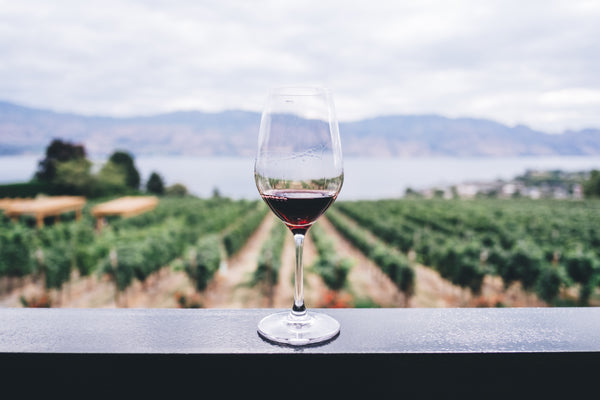 Wine as Antioxidant?